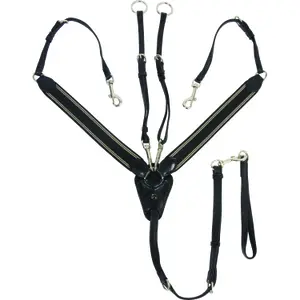 Martingale for horse Catago image-0