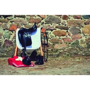 Tapis de selle pour cheval Catago Diamond image-2