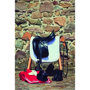 Tapis de selle pour cheval Catago Diamond image-3