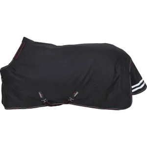 Coperta da esterno per cavalli Catago Dual Pro 100 g