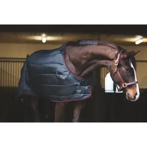 Couverture d'écurie pour cheval Catago Dual Pro 300 g image-1