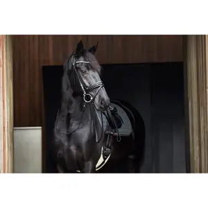 Paardensingel met imitatiebont Catago image-2