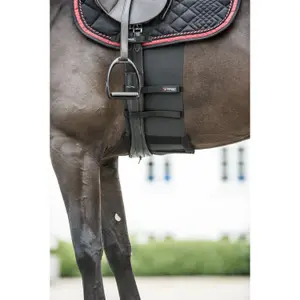 Bande de respect pour cheval Catago image-0