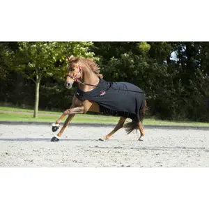 Cloches pour cheval Catago Merino image-1