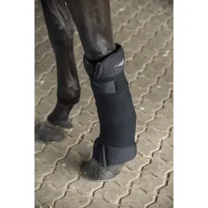 Bekväma dynor för stall-/transporthästar Catago image-2