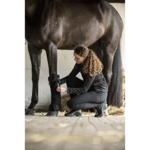 Bekväma dynor för stall-/transporthästar Catago image-1