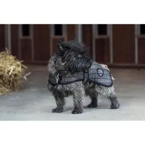 Cappottino per cani Catago image-1