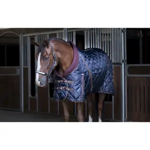 Manta equitación de cuadra Catago 500 g image-1