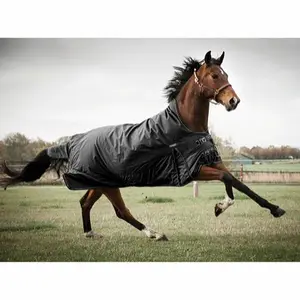 Outdoor-Decke Catago Justin 2.0 image-1