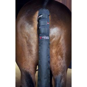 product/c/a/catago_49770001_2.jpg