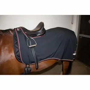 Nierendecke Catago image-2