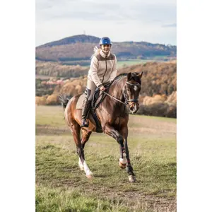 Tendon gaiters for horses Catago image-1