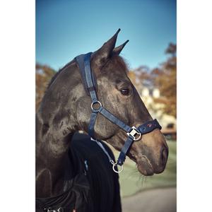 Halter for horse Catago FIR-Tech image-2