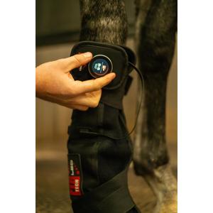 product/c/a/catago_59000001_black_9.jpg