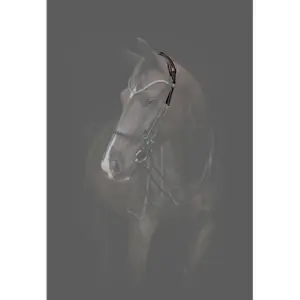 Κεφαλίδα ιππασίας Catago Gentle image-1