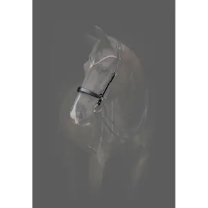 Lederkopfstück für Pferde Catago Gentle image-1