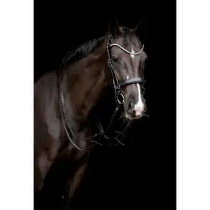 Lederkopfstück für Pferde Catago Gentle image-2