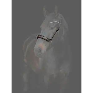 Cavezzone Catago Gentle image-1