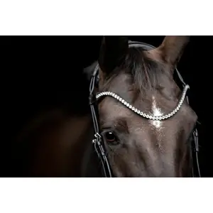 Stirnband für Pferd Catago Gentle image-2