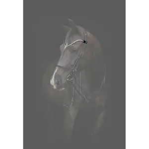 Stirnband für Pferd Catago Gentle image-1