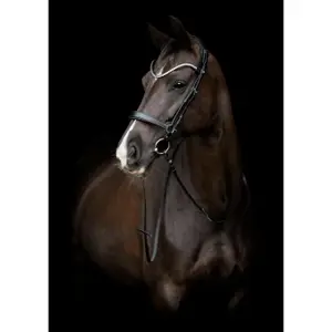 Combinatie paardenneusriem Catago Gentle image-1