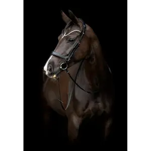 Combinatie paardenneusriem Catago Gentle image-2