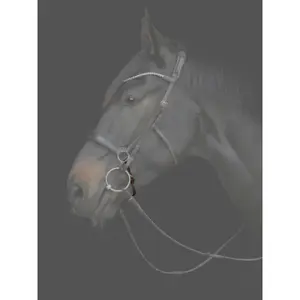 Chin strap for horse Catago Gentle image-1