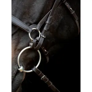 Chin strap for horse Catago Gentle image-2