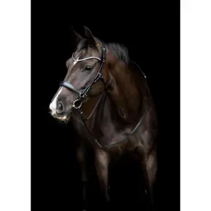 Häst under strupgrepp Catago Gentle image-1