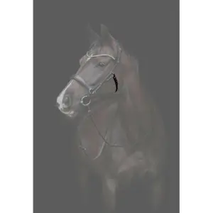 Στηθόδεσμος αλόγου Catago Gentle image-2