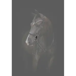 Συνδετικοί κρίκοι για άλογο Catago Gentle image-2