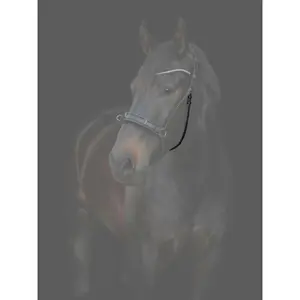 Στηθόδεσμος αλόγου με αγκράφες Catago Gentle image-2