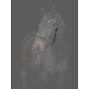 Szelki do konia z klamrami Catago Gentle image-2