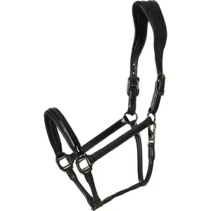 Cavezza in cuoio Catago Novi 25.1 image-0