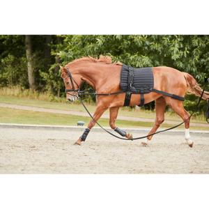 Sella da dressage con elastici per cavalli Catago Hybride image-2