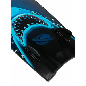 Bestuur Catch Surf Beater 54 Original Twin Fin Lost Ed6 image-0