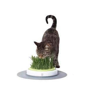 Cat Toy Garden Grass Catit CA Design Senses image-1