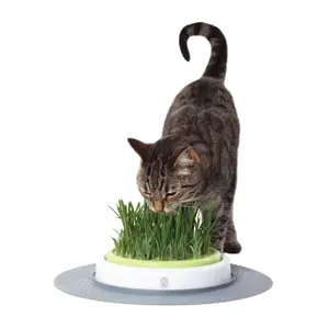 Cat Toy Replacement Grass Catit CA Design Senses (x2)