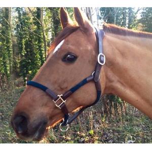 cal03om-lederen-halster-en-touw-voor-paarden-cavaletti-tara-eik-marijn-volledig