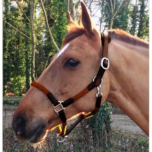 product/c/a/cavaletti_cal03oo.jpg