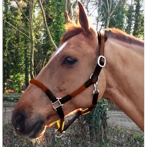 cal03oo-lederhalfter-und-seil-fur-pferde-cavaletti-tara-eiche-full