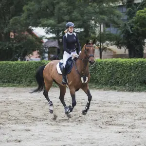 Technisches Turnier-Polo mit langen Ärmeln Damen Cavalliera Black Jack image-3