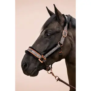 Halfter für Pferd Cavallo Cavallilly image-1