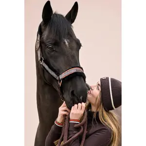 Halfter für Pferd Cavallo Cavallilly image-3