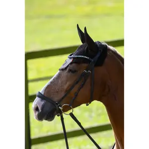 Kurze Mütze für Pferde Cavallo Cavalliddy image-3