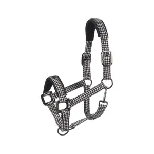 Halfter für Pferd Cavallo Cavalpeppy image-0
