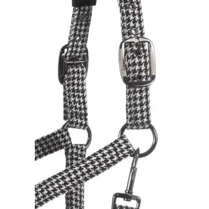 Halfter für Pferd Cavallo Cavalpeppy image-2