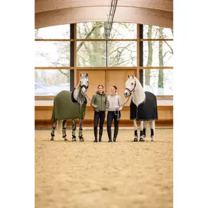 Halfter für Pferd Cavallo Cavaljero image-2