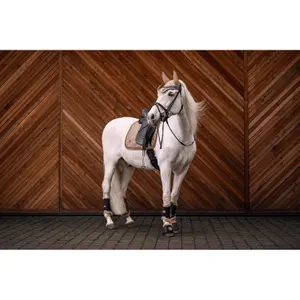 Kurze Mütze für Pferde Cavallo Cavaljackie image-2