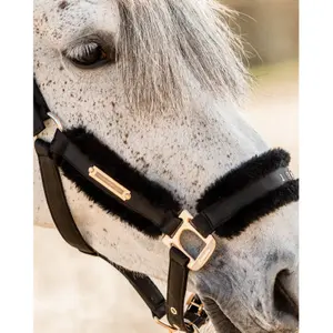 Cabestro para caballos Cavallo Cavalucile image-1